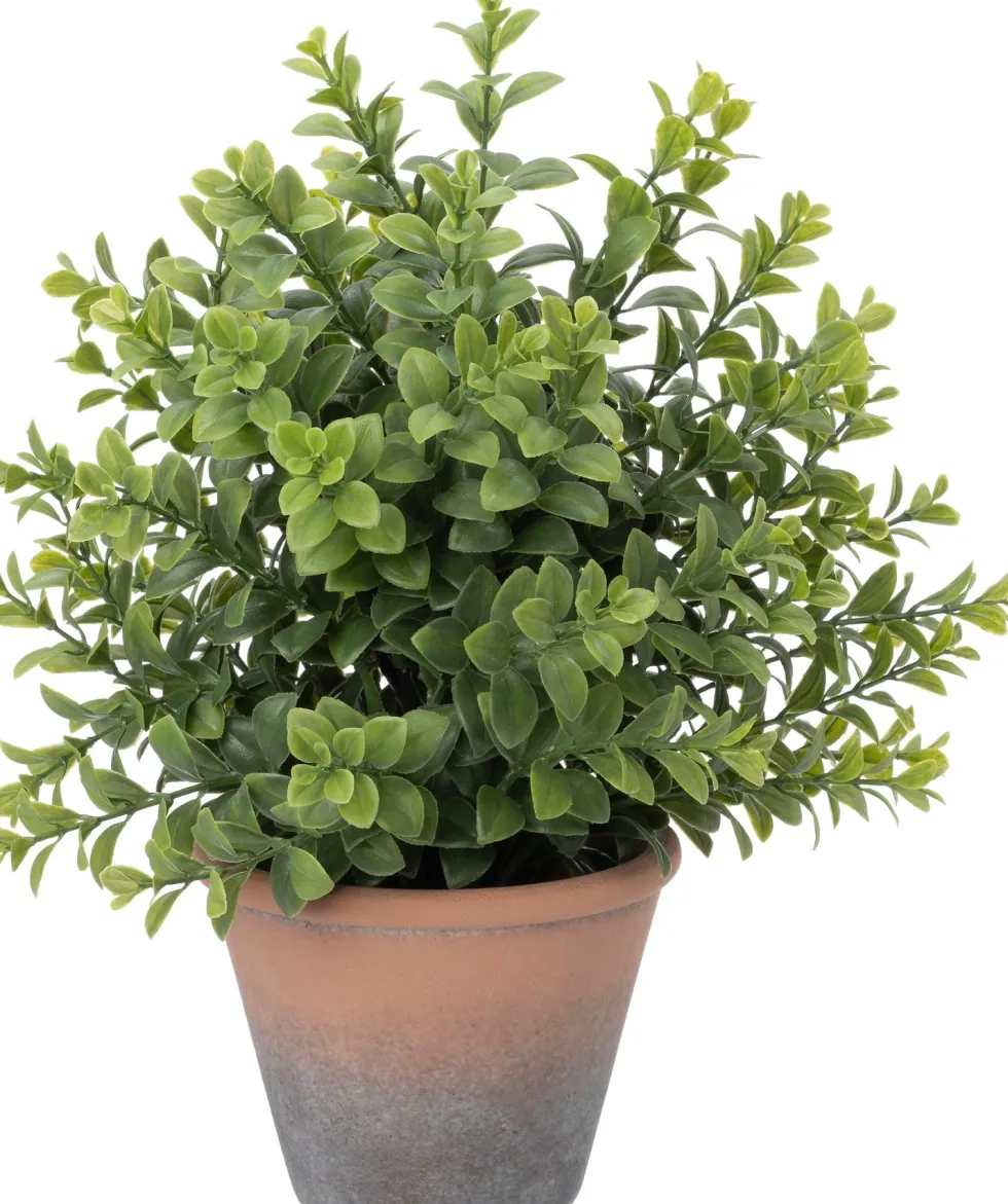 Intratuin kunstplant Buxus D 18 H 30 cm