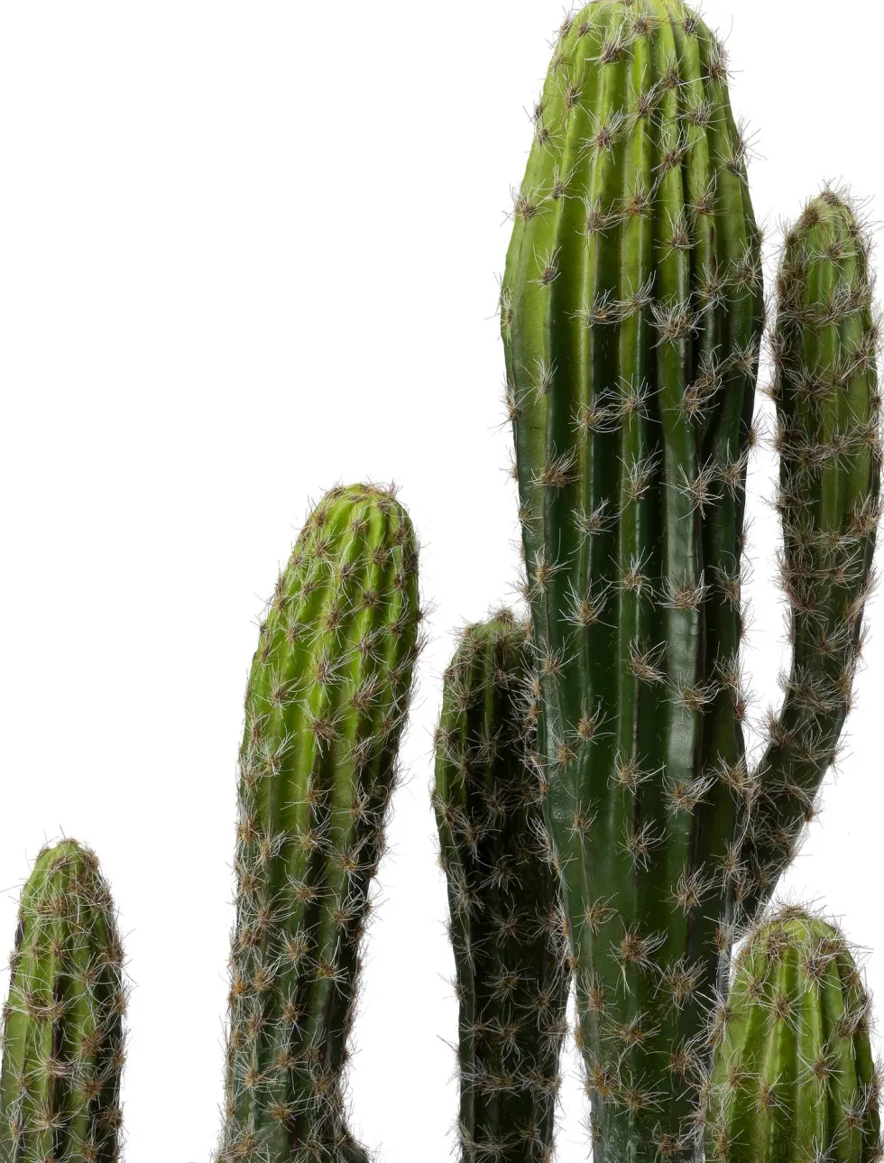 Intratuin kunstplant Cactus D 18 H 60 cm