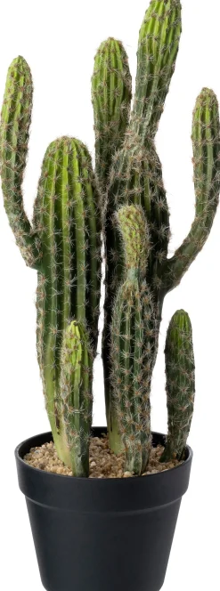 Intratuin kunstplant Cactus D 18 H 60 cm