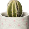 Intratuin kunstplant Cactus grijze pot H 14 cm