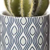 Intratuin kunstplant Cactus blauwe potH 14 cm