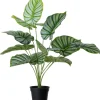 Intratuin kunstplant Caladium D 12,9 H 60 cm
