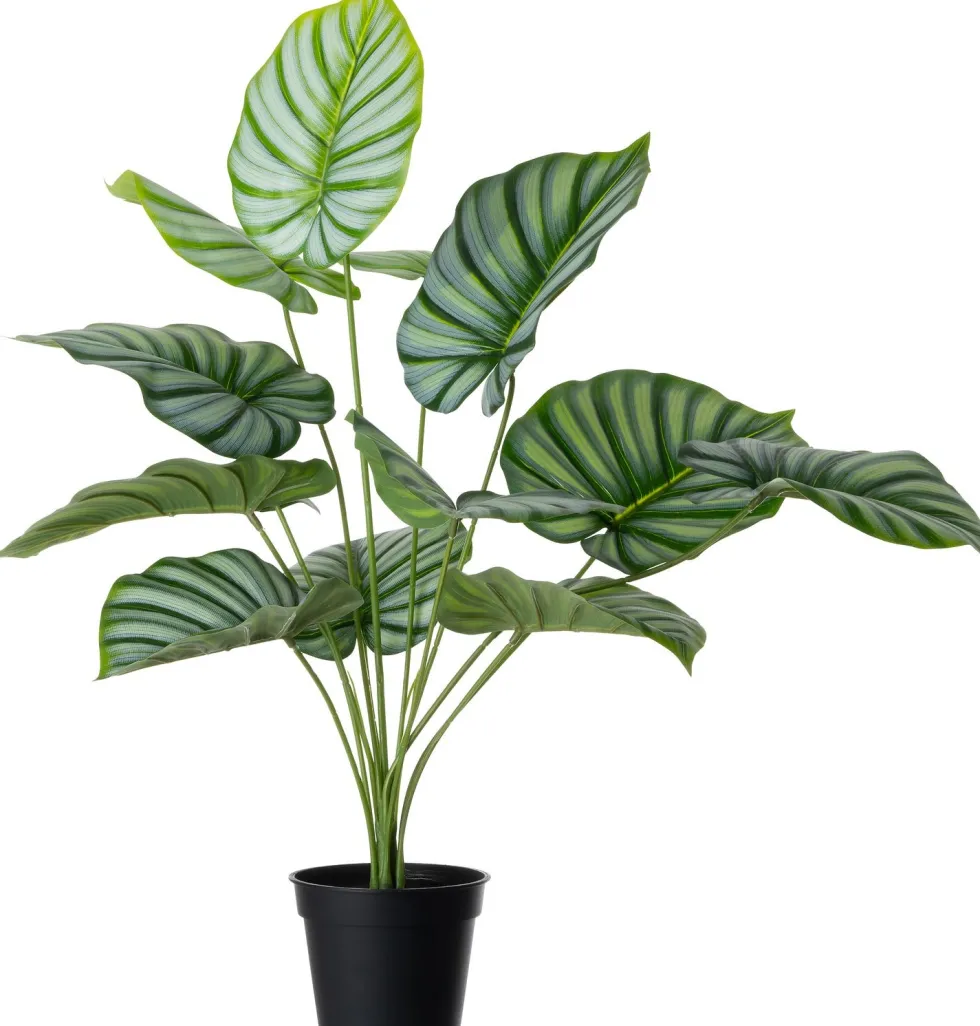 Intratuin kunstplant Caladium D 12,9 H 60 cm