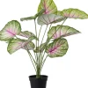 Intratuin kunstplant Caladium roze / groen D 12,9 H 60 cm