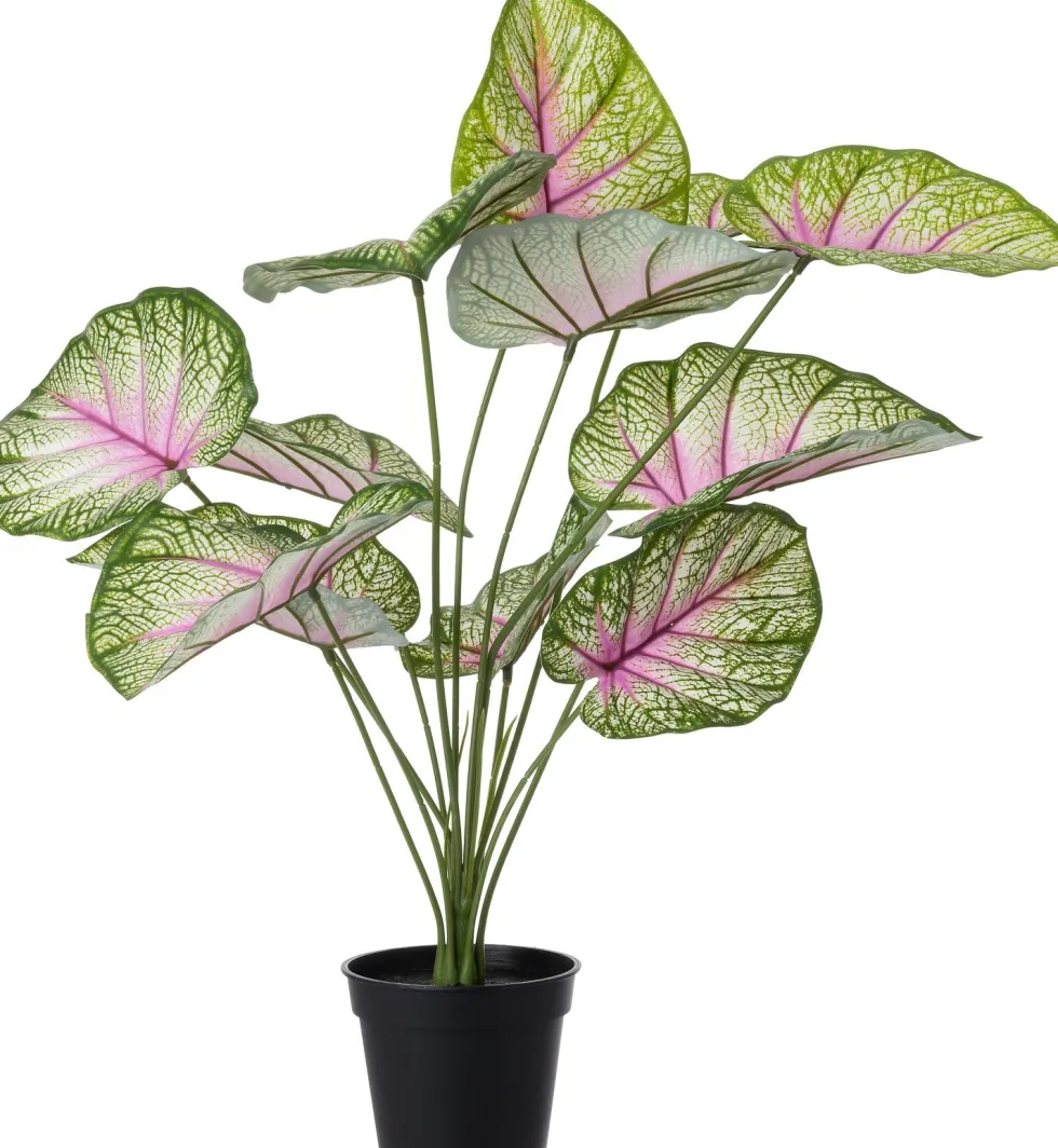 Intratuin kunstplant Caladium roze / groen D 12,9 H 60 cm