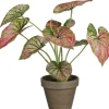 Intratuin kunstplant Caladium paars H 28 cm