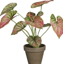 Intratuin kunstplant Caladium paars H 28 cm