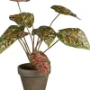 Intratuin kunstplant Caladium rood H 28 cm