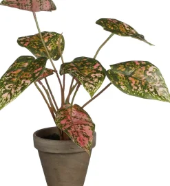 Intratuin kunstplant Caladium rood H 28 cm