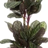Intratuin kunstplant Calathea groen / rood D 20 H 110 cm