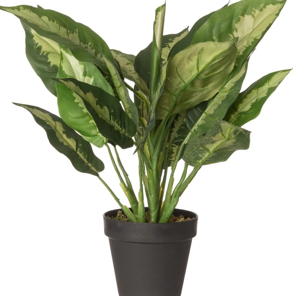 Intratuin kunstplant Calathea D 12.5 H 50 cm