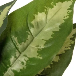 Intratuin kunstplant Calathea D 12.5 H 50 cm