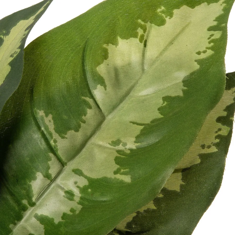 Intratuin kunstplant Calathea D 12.5 H 50 cm