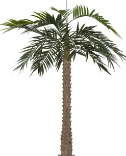 Intratuin kunstplant Chinese waaierpalm H 300 cm