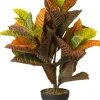 Intratuin kunstplant Croton groen / rood / geel H 75 cm