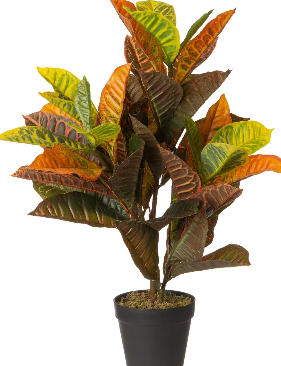 Intratuin kunstplant Croton groen / rood / geel H 75 cm
