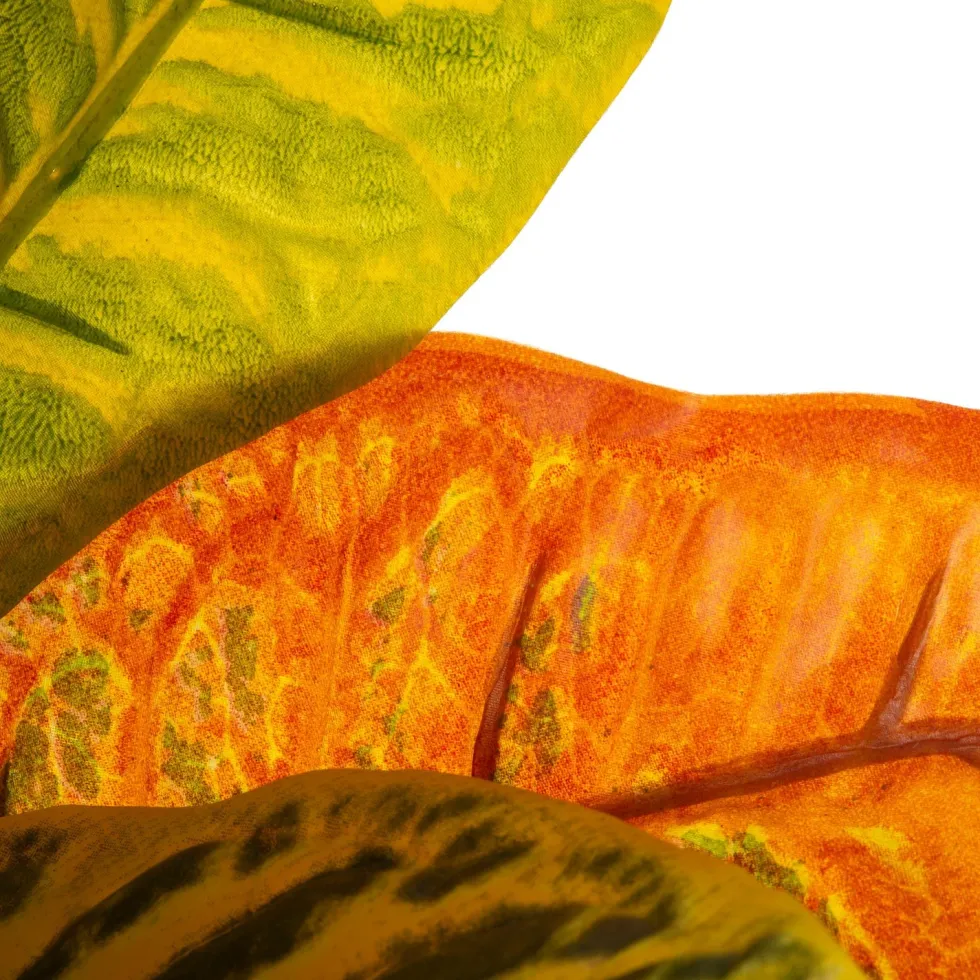 Intratuin kunstplant Croton groen / rood / geel H 75 cm