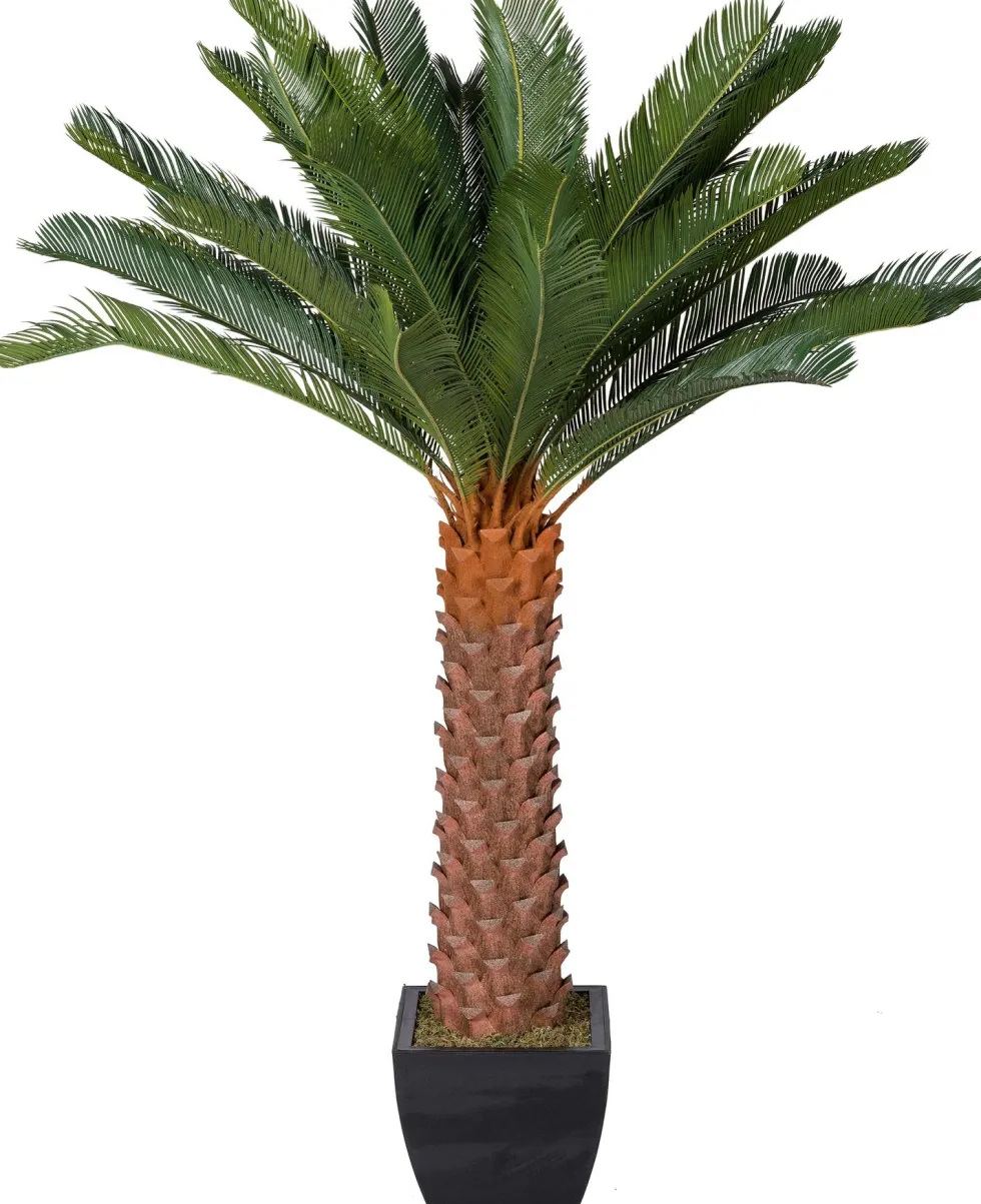 Intratuin kunstplant Cycas oranje H 160 cm