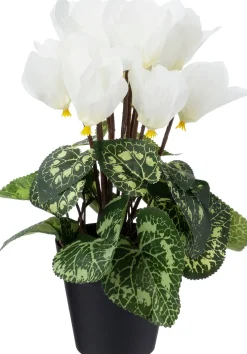 Intratuin kunstplant Cyclaam crème D 9 H 28 cm