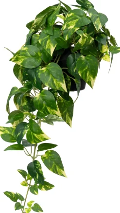 Intratuin kunstplant Drakenklimop D 12,5 H 70 cm