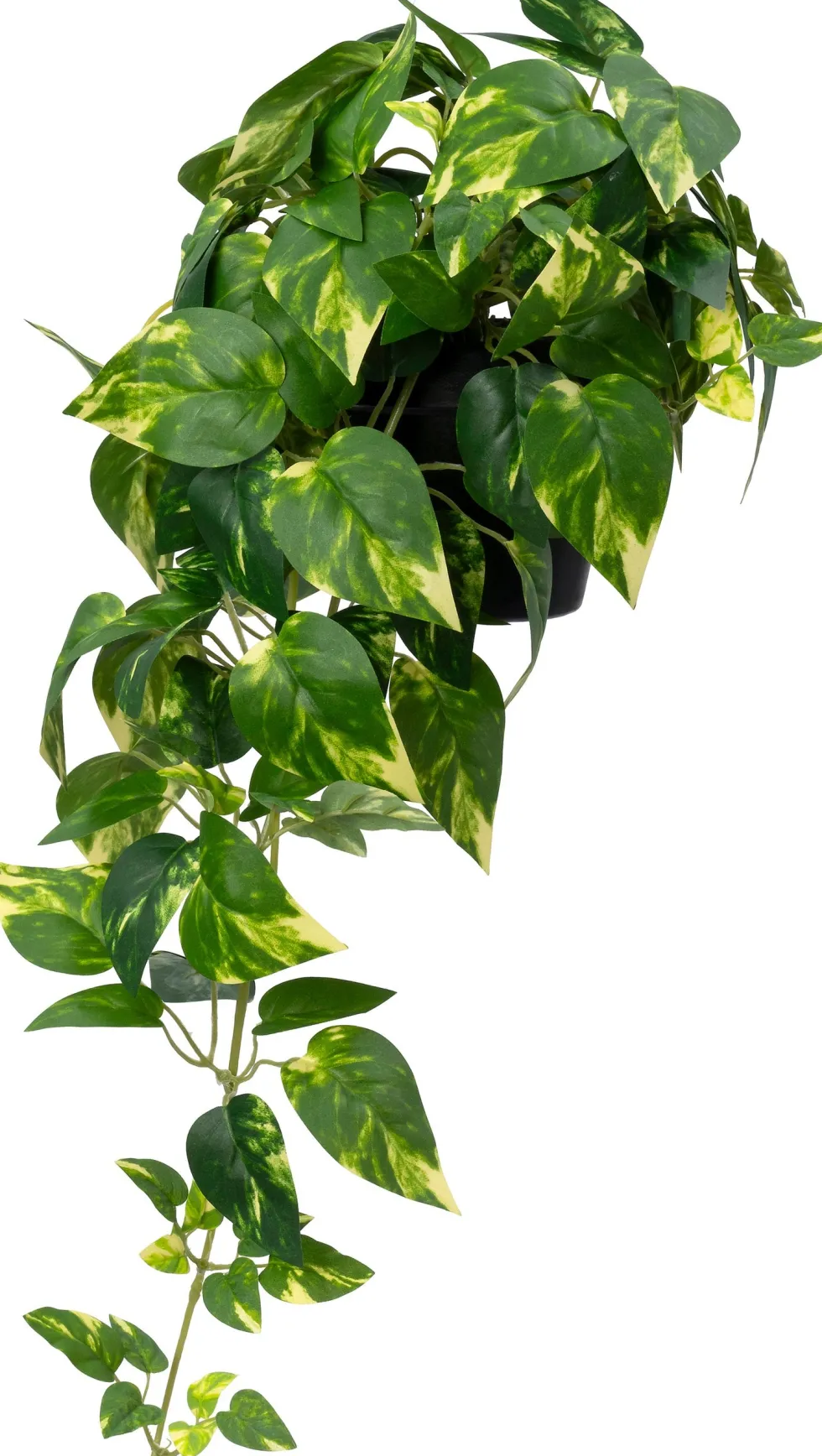 Intratuin kunstplant Drakenklimop D 12,5 H 70 cm