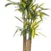 Intratuin kunstplant Drakenbloedboom groen / geel H 120 cm
