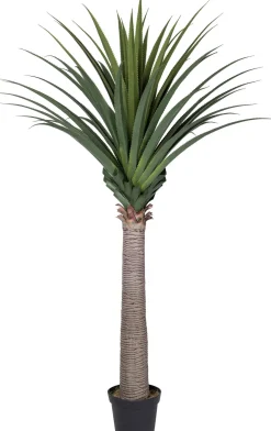 Intratuin kunstplant Drakenbloedboom H 210 cm