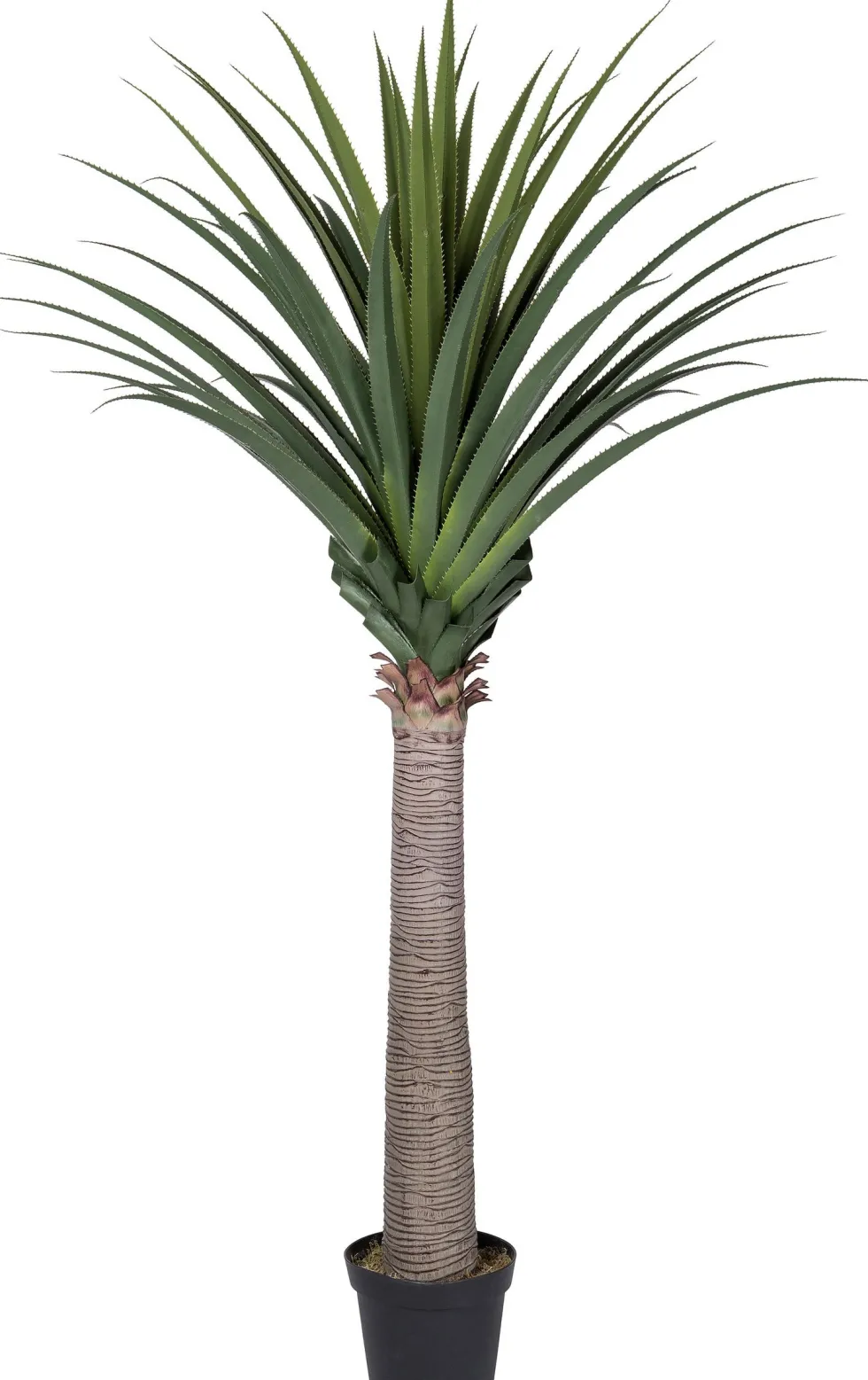 Intratuin kunstplant Drakenbloedboom H 210 cm
