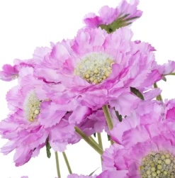 Intratuin kunstplant Duifkruid roze D 20 H 62 cm