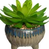 Intratuin kunstplant Echeveria H 12 cm
