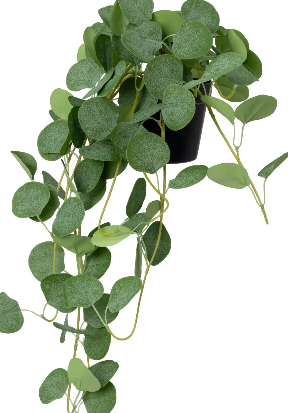 Intratuin kunstplant Eucalyptus grijsgroen D 12,5 H 70 cm