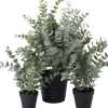Intratuin kunstplant Eucalyptus grijsgroen D 11 H 43 cm
