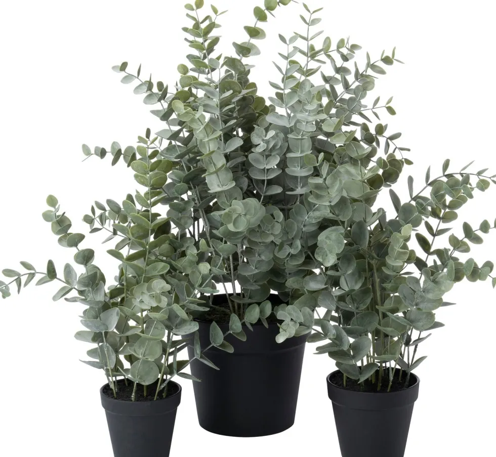 Intratuin kunstplant Eucalyptus grijsgroen D 11 H 43 cm