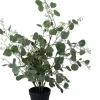 Intratuin kunstplant Eucalyptus H 62 cm