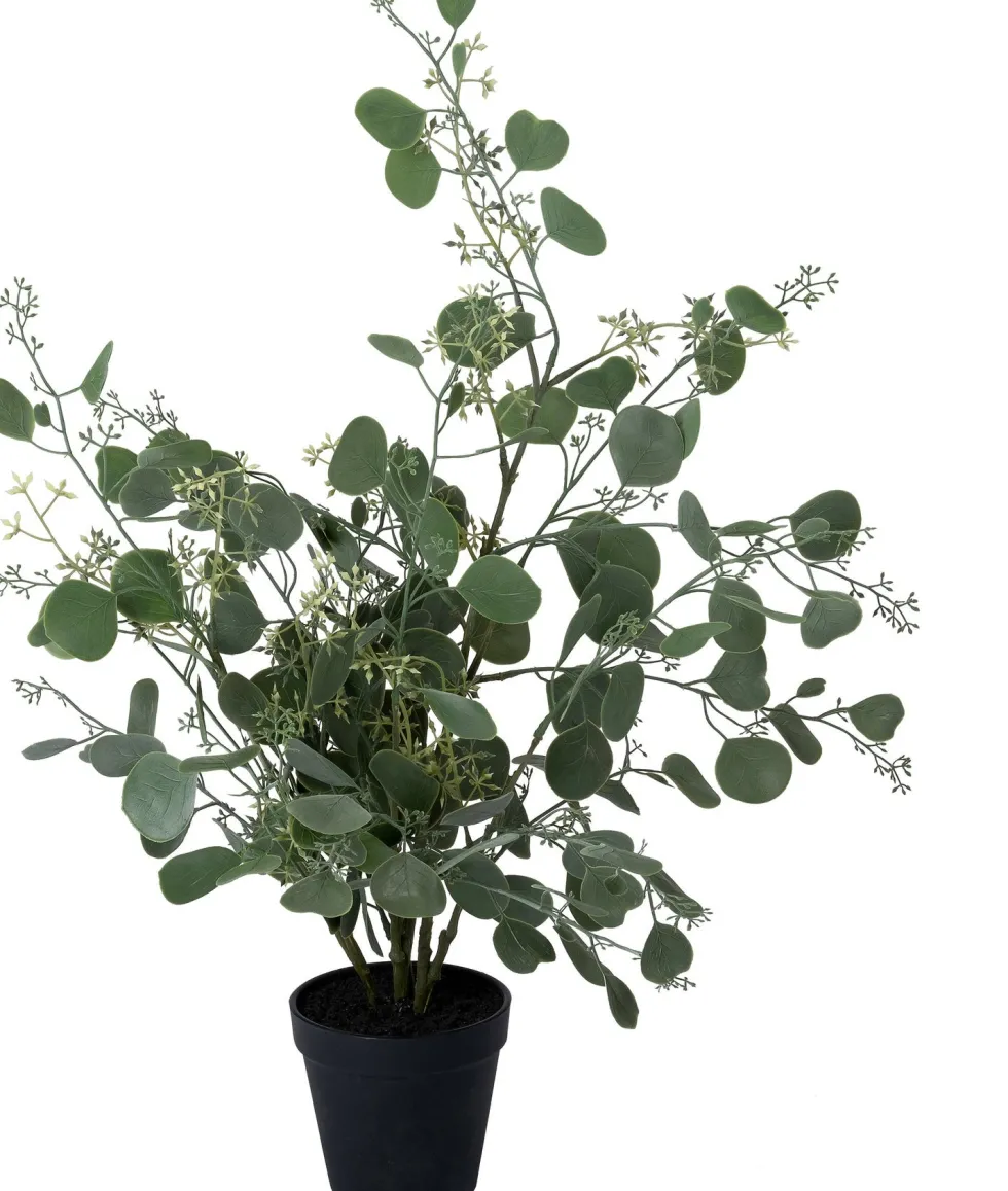 Intratuin kunstplant Eucalyptus H 62 cm