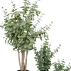 Intratuin kunstplant Eucalyptus donkergroen D 9 H 38 cm