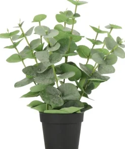 Intratuin kunstplant Eucalyptus donkergroen D 9 H 38 cm
