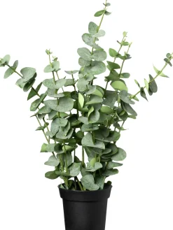 Intratuin kunstplant Eucalyptus donkergroen D 15 H 67 cm