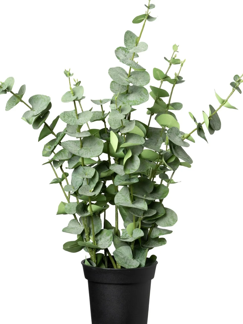 Intratuin kunstplant Eucalyptus donkergroen D 15 H 67 cm