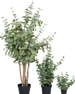 Intratuin kunstplant Eucalyptus donkergroen D 17 H 125 cm