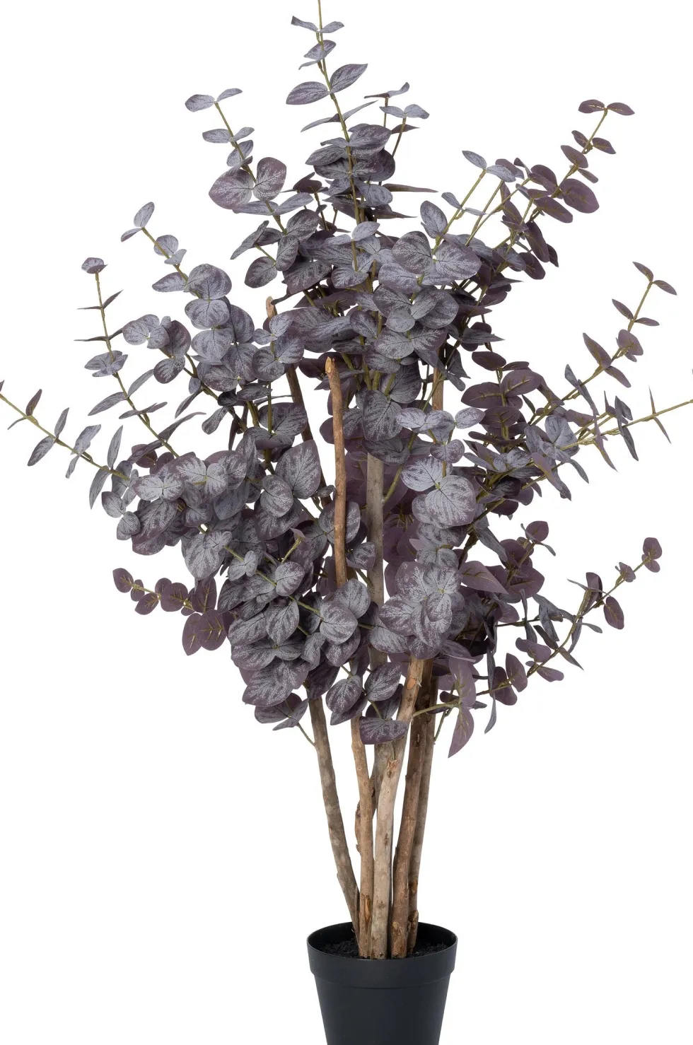 Intratuin kunstplant Eucalyptus paars D 17 H 55 cm