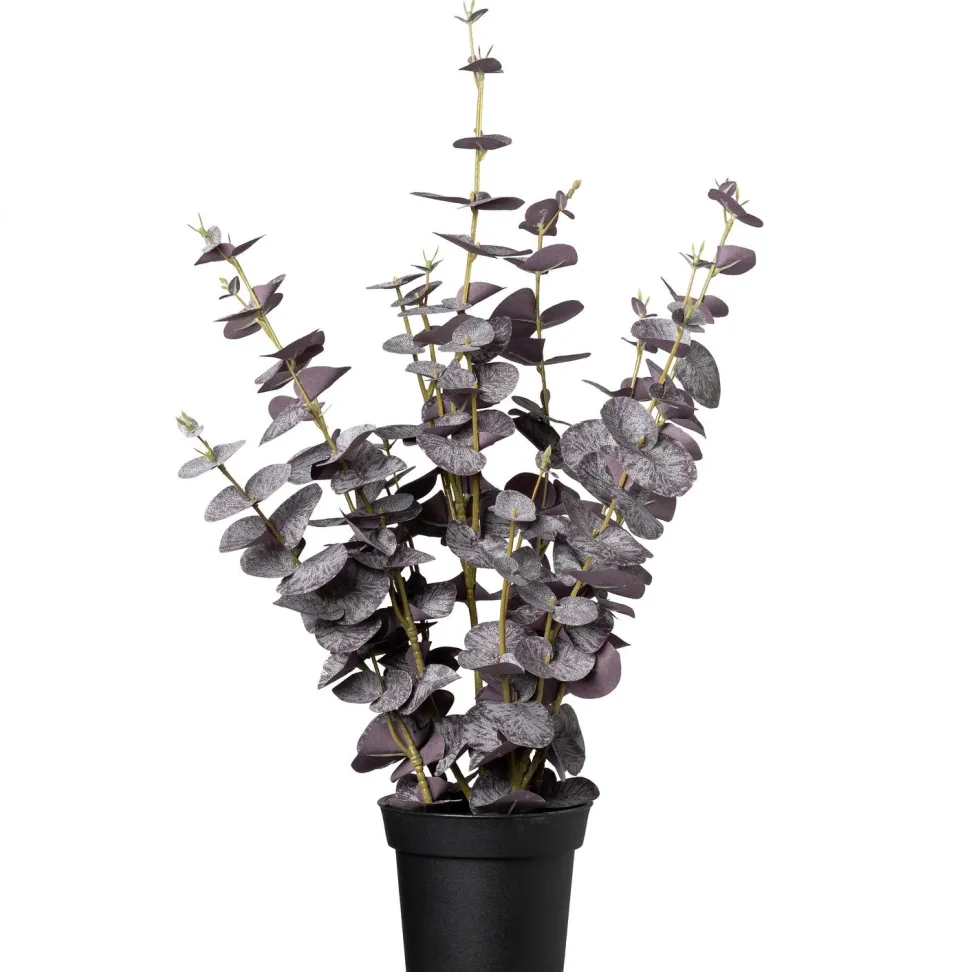Intratuin kunstplant Eucalyptus paars D 15 H 67 cm