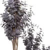 Intratuin kunstplant Eucalyptus paars D 9 H 20 cm