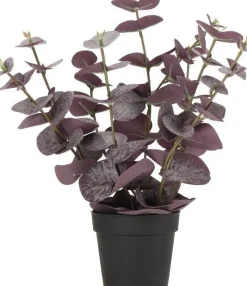 Intratuin kunstplant Eucalyptus paars D 9 H 20 cm