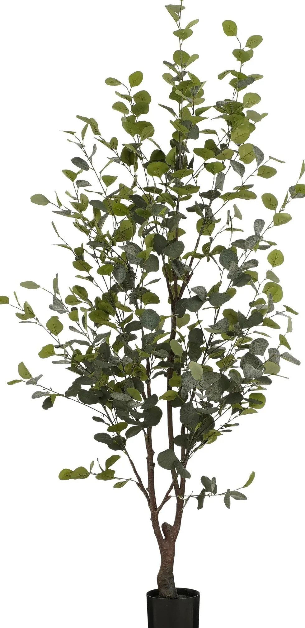 Intratuin kunstplant Eucalyptus H 180 cm
