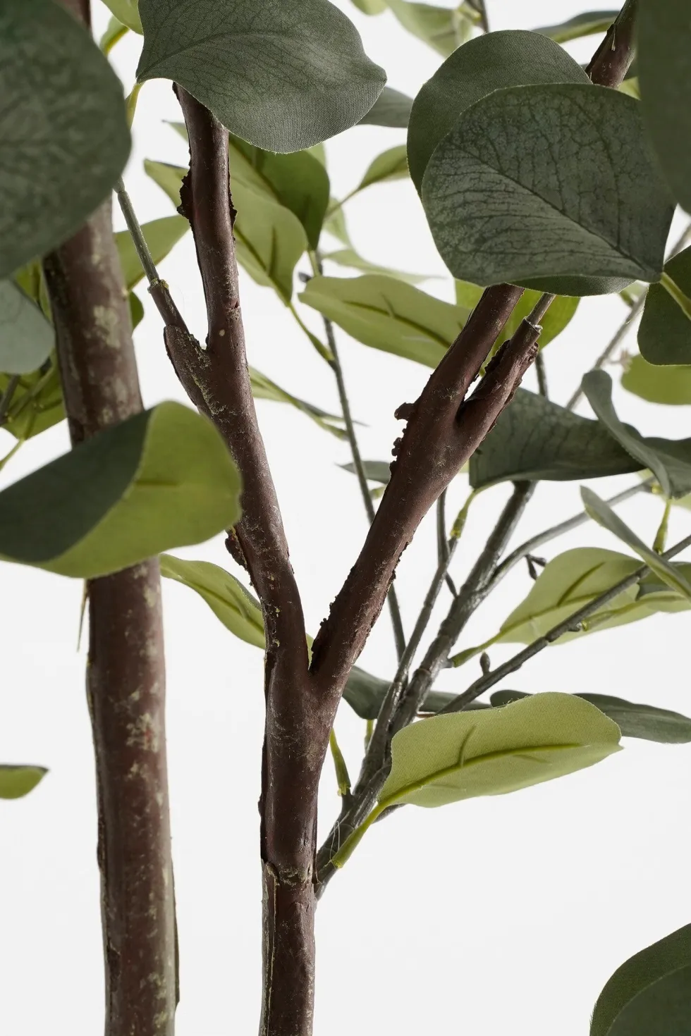 Intratuin kunstplant Eucalyptus H 180 cm