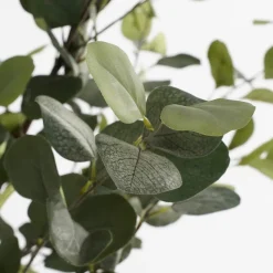 Intratuin kunstplant Eucalyptus H 180 cm