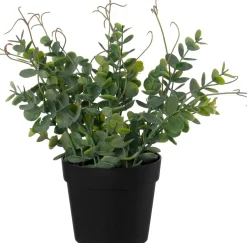 Intratuin kunstplant Eucalyptus H 25 cm