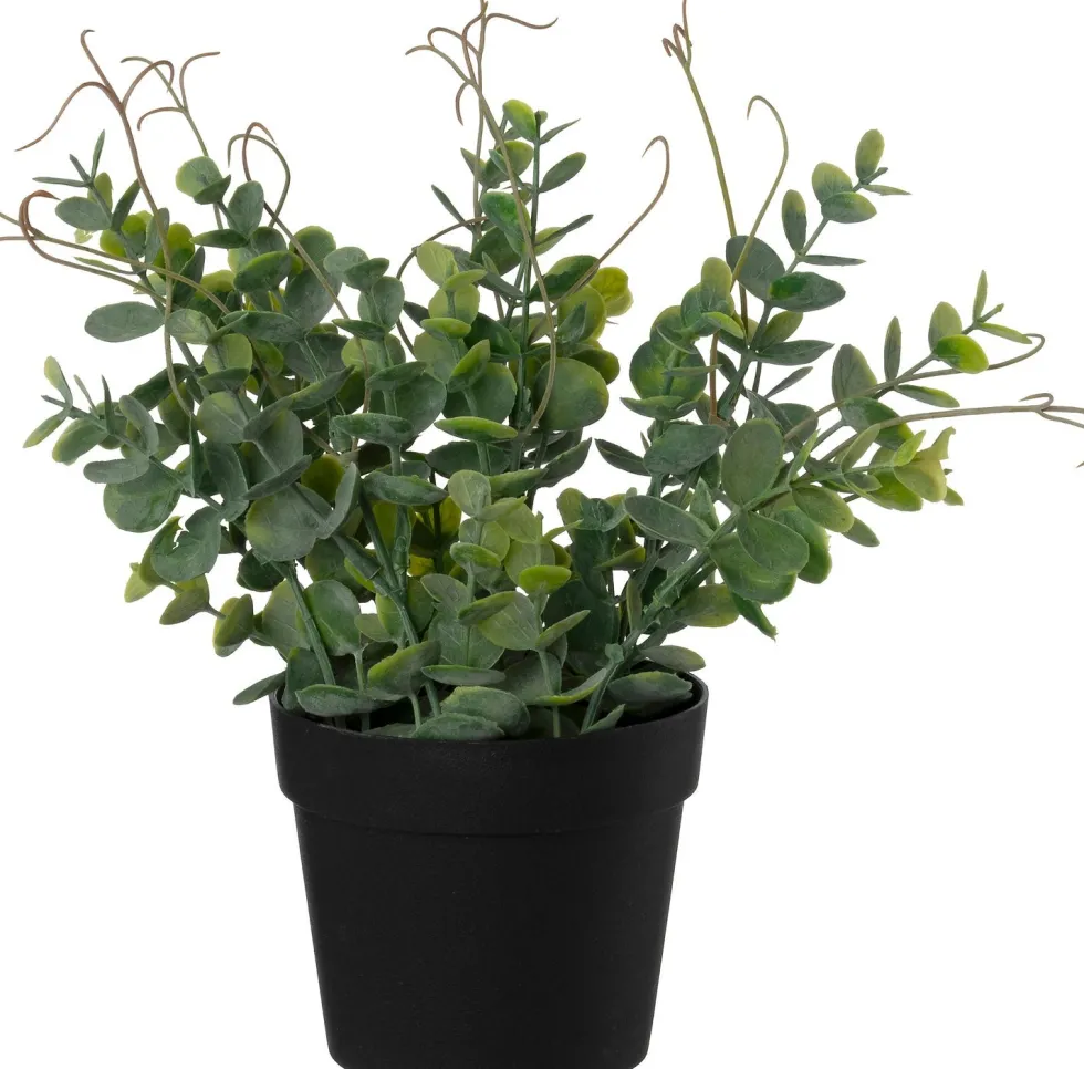 Intratuin kunstplant Eucalyptus H 25 cm