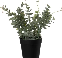 Intratuin kunstplant Eucalyptus H 23 cm